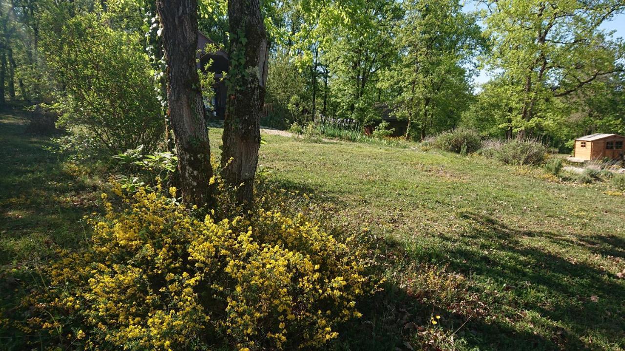 Le Village Enchanteur La Chapelle-Aubareil Εξωτερικό φωτογραφία