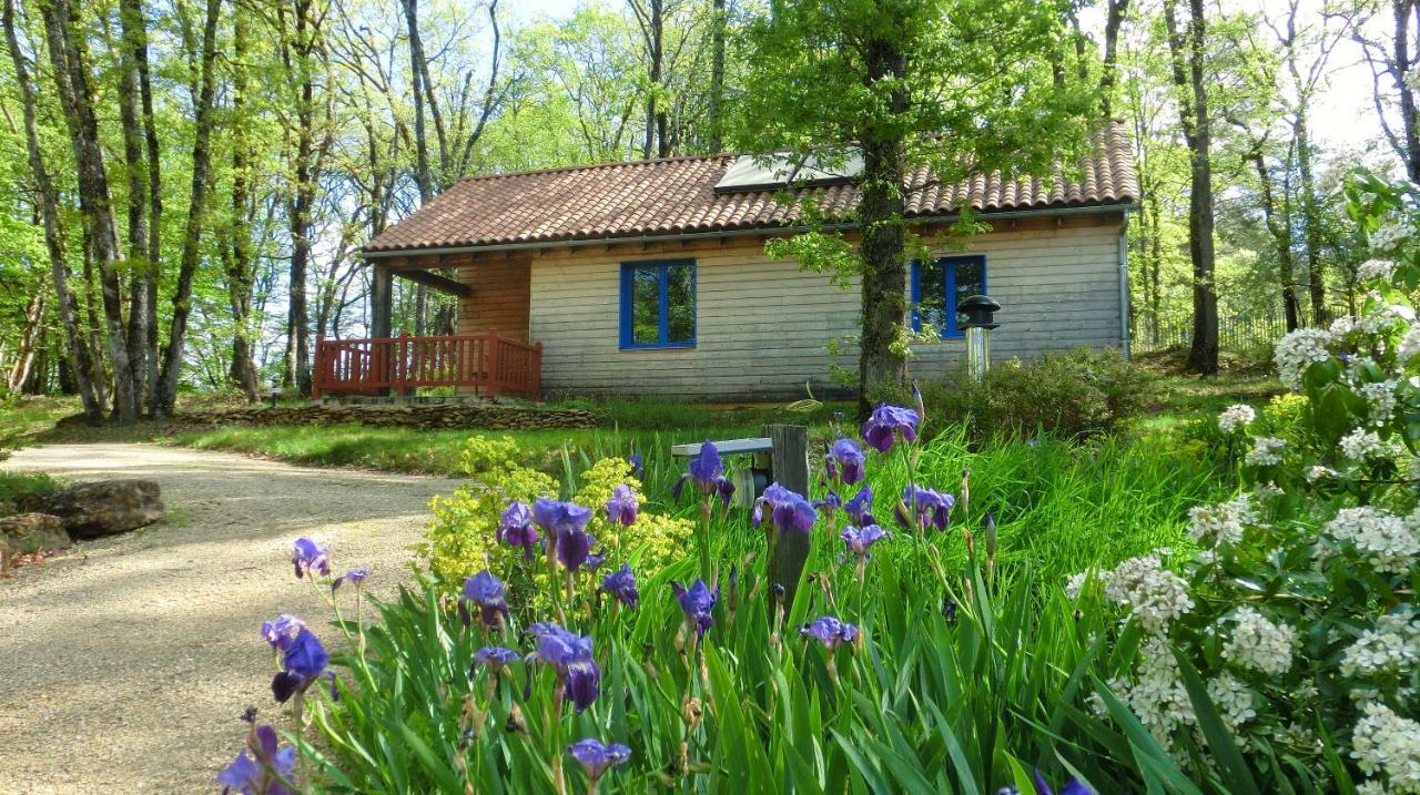 Le Village Enchanteur La Chapelle-Aubareil Εξωτερικό φωτογραφία